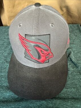 Arizona Cardinals Gray and Black Logo Cap